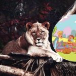 Това е задача, с която могат да се справят само малцина: трябва да намерите лъв в парка за 6 секунди. Това е задача, с която могат да се справят само